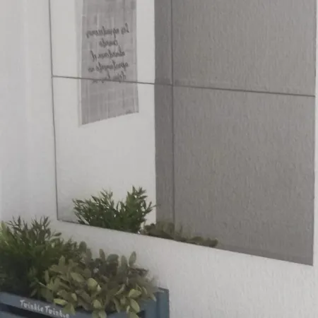 Vive Aragon 4 Wifi 300mb Apartment *